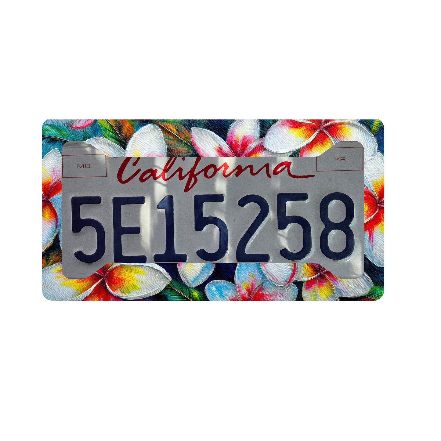 White Plumeria License Plate Frame with Yellow & Red Centers – Tropical Hawaiian image 1