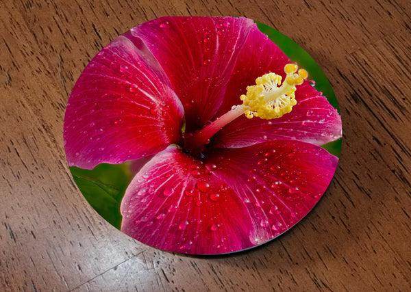 Hibiscus drink coasters, set of 4 — detail close-up | Beach Hut Decor
