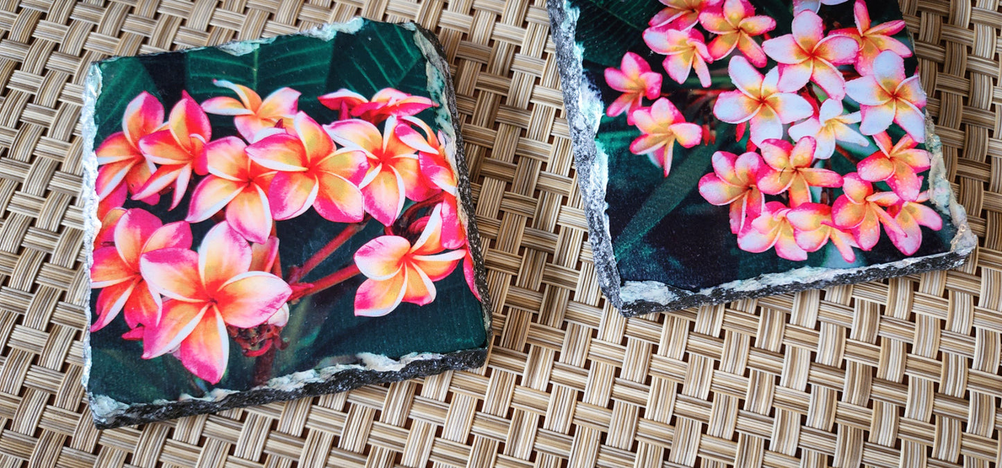 Plumeria Slate Rock Drink Coasters image 2
