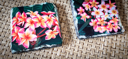 Plumeria Slate Rock Drink Coasters image 1