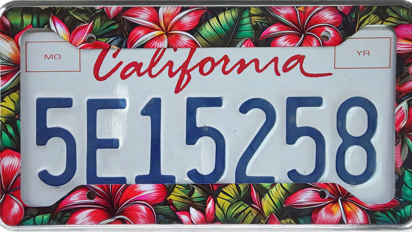 Hawaiian Plumeria License Plate Frame | Tropical Floral Aluminum Car Accessory image 3