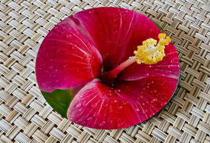 Hibiscus Glass Drink Coasters image 1