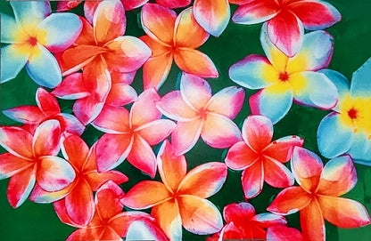 Plumeria Garden image 3