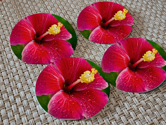 Hibiscus Glass Drink Coasters image 0