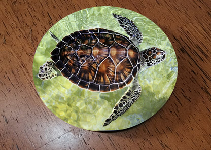 Turtle Glass Drink Coasters image 2