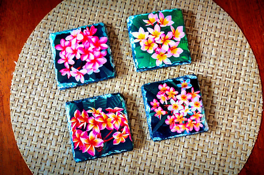 Plumeria Slate Rock Drink Coasters image 0