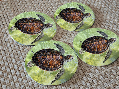 Turtle Glass Drink Coasters image 0