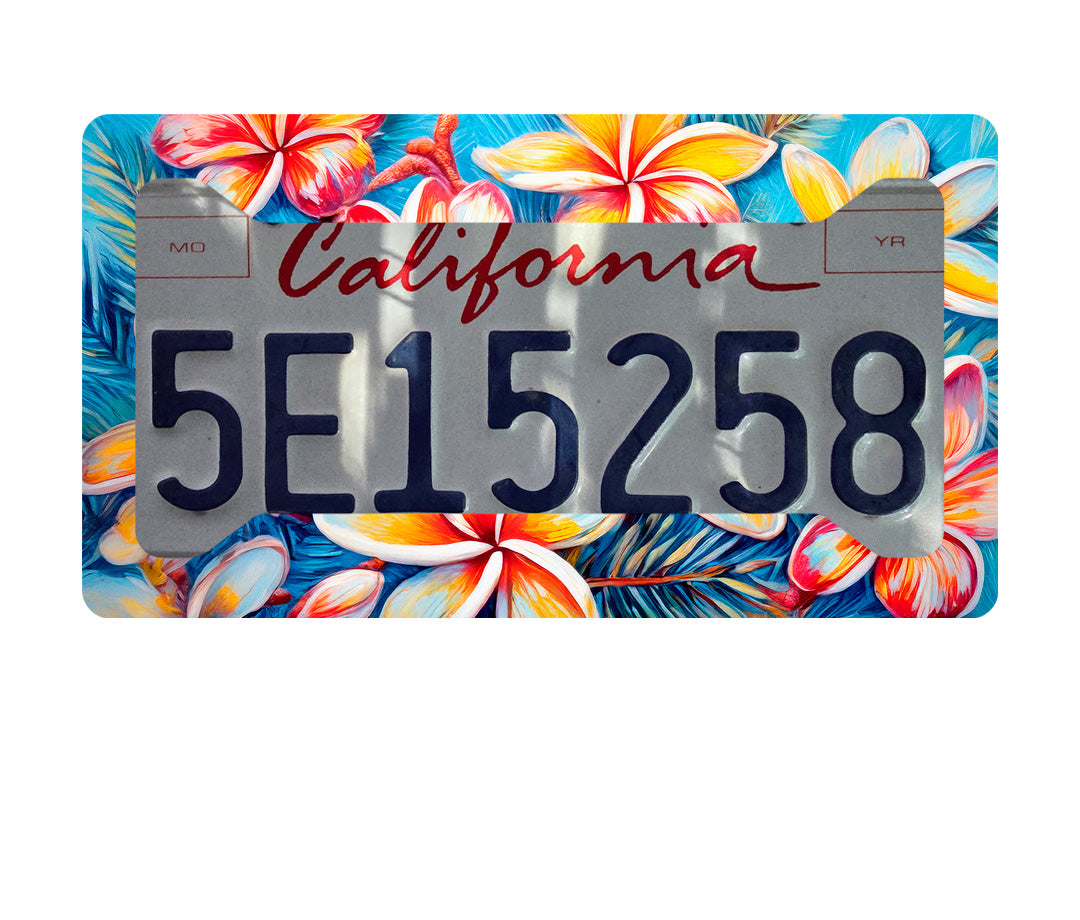 Yellow & White Plumeria License Plate Frame – Tropical Hawaiian Floral Car Acces image 1