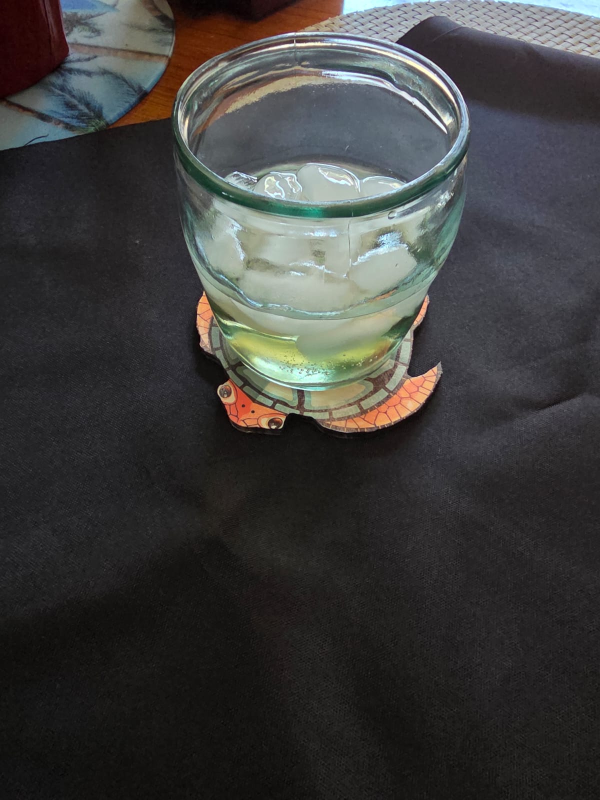 Handcrafted Wooden Turtle Coaster Set – Tropical Sea Turtle Drink Coasters (Set)