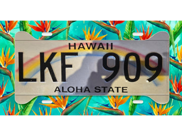 Bird of Paradise Tropical License Plate Frame – Hawaiian Floral Car Accessory