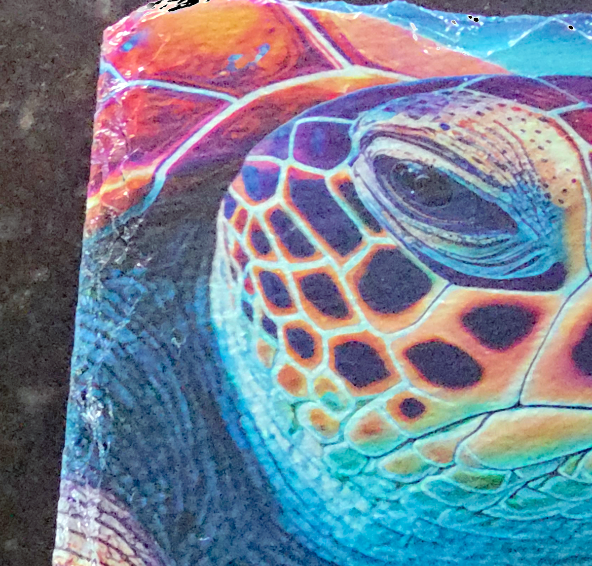 Close-up of the sea turtle eye and turquoise face on a square slate coaster.