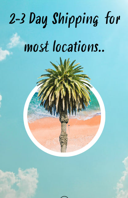 Turquoise shipping information card with a palm tree stating 2–3 day shipping for most locations.